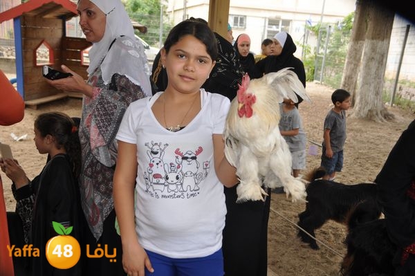 kidrawdaanimals510 (11).JPG